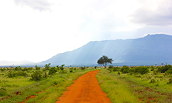 african road to the mountain